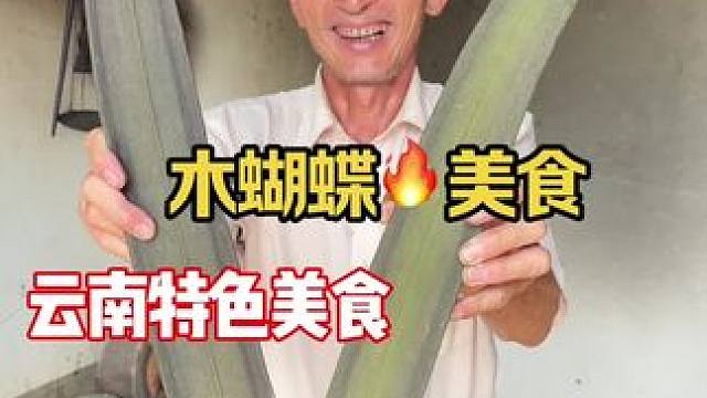 云南特色美食 凉拌木蝴蝶#乡村的生活 #特色美食#木蝴蝶 #原创视频