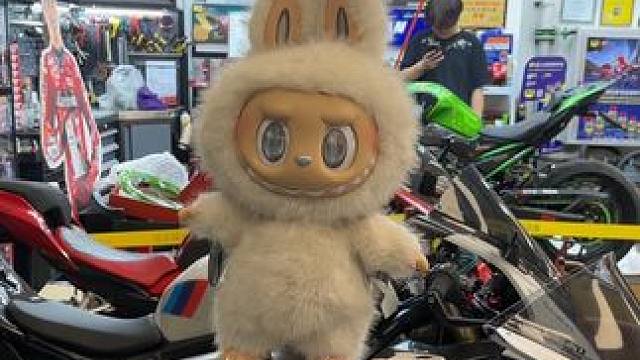 天气太热出现幻觉 梦到labubu把摩托车骑走了#zimomo