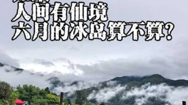 如果人间有仙境，那么六月的冰岛算不算？#冰岛茶 #普洱茶 #茶生活 #阅茶先生#召唤茶友