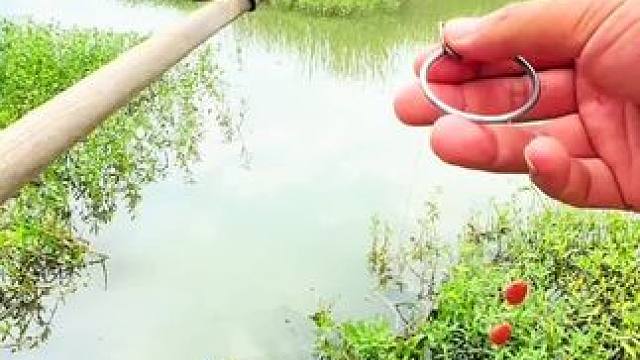 这杆子搭配的没话说#钓鱼 #钓鱼人就是这么疯狂 #钓鱼的乐趣只有钓鱼人懂 #钓鱼技巧 #钓鱼人