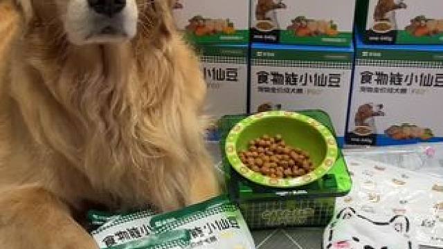 老年动物/减肥小狗看过来~