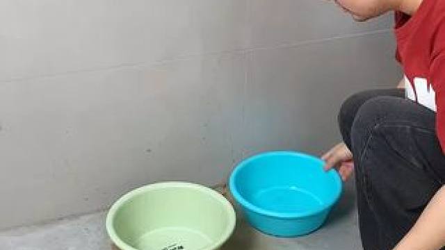 这款吸盘脸盆挂钩 这款吸盘脸盆挂钩 真不错，免打孔上墙，全家的脸盆都能上墙收纳不占地方，大号脸盆也没