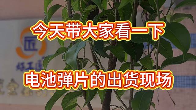 今天带大家看一下我们电池弹片的出货现场