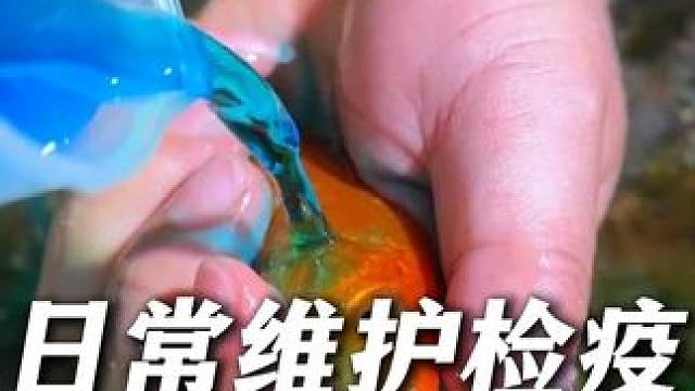 如果有人说亚甲基蓝不能直接往鱼缸里加，拿我这个视频给他看！ #亚甲基蓝 #亚甲基蓝的正确用法 #亚甲