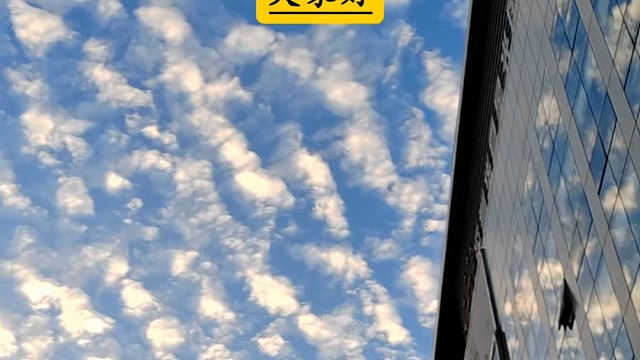 迷你仓创业的关键成功因素是场地选址和库内环境因素以及仓型设计，一个好的场地和仓型设计，这个自存仓项目