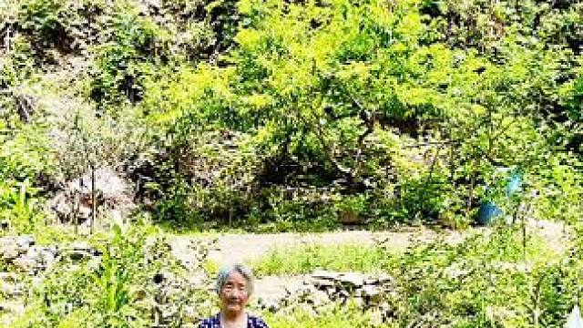 #农村生活 #山村行#五彩垛庄。走进团圆沟村。该村地处章丘区垛庄镇西南方，是大寨小寨下面的一座小山村