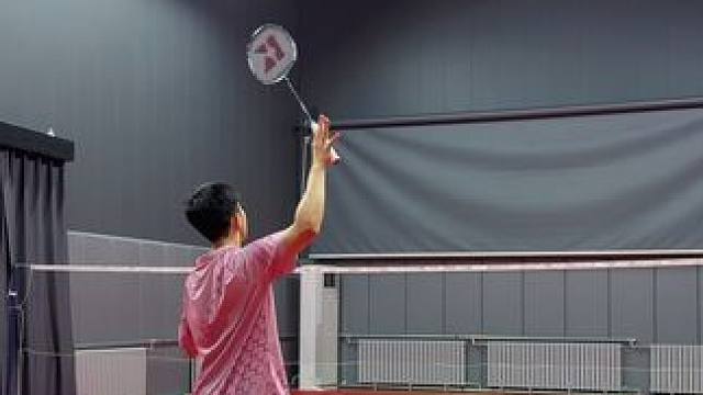 中羽一级发力模式#羽毛球 #羽毛球教学 #杀球