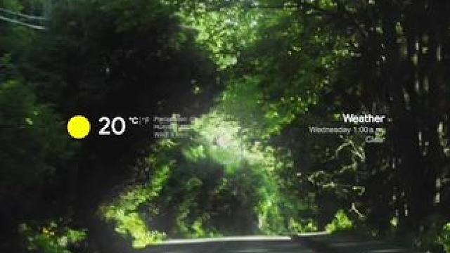 夏天的绿色，是冬眠做梦的素材.