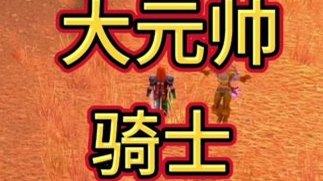 大元帅骑士 #魔兽世界国服20周年庆 #魔兽世界怀旧服