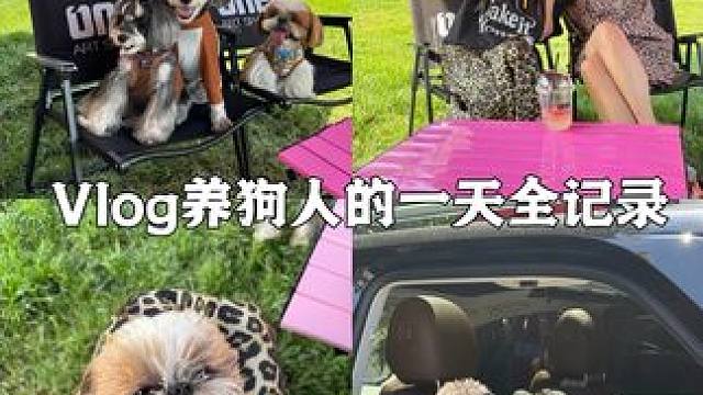 Vlog.258｜养狗人的一天全记录 会见好朋狗