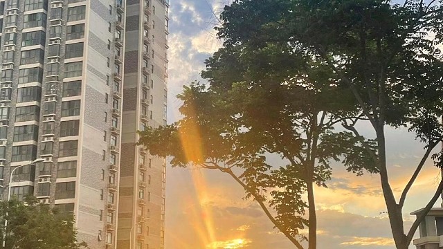 人在落魄的时候看清一切 又在辉煌的时候迷失了自己