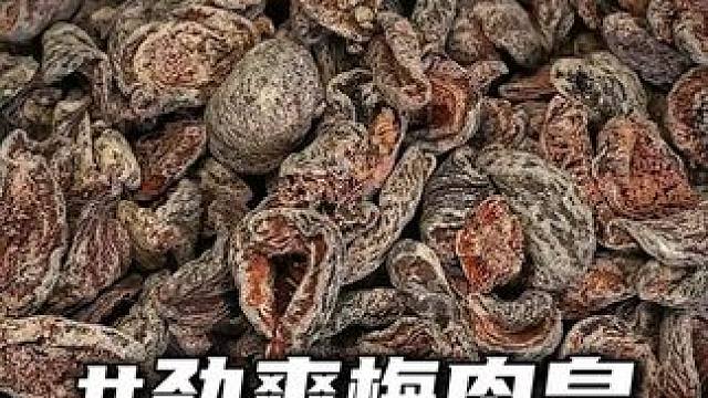 加班犯困到灵魂出窍？来包#梅肉皇，咸酸劲凉带劲，敲键盘都有滋味！#零食推荐#果干推荐