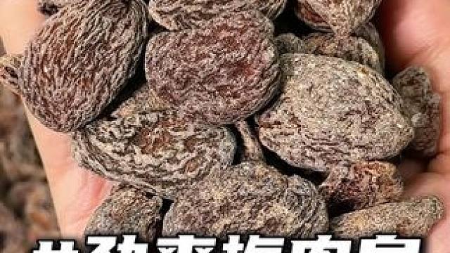 肉感软糯，酸甜冰凉，嚼着嘴巴还没负担！#梅肉皇#零食推荐#果干推荐