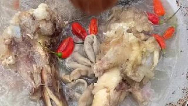 非洲嘟嘟 #我的乡村生活 #创作者扶持计划 #宠物狗狗视频 #原生态乡村生活 #外国人真会玩