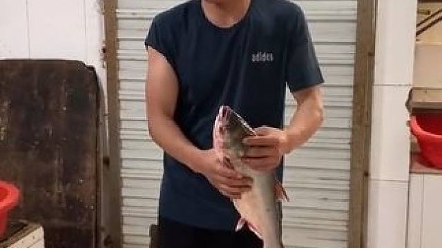 在镇江有个一抓准，有知道他的吗#原创视频 #高手在民间 #万物皆可称 #栗子哥 #镇江