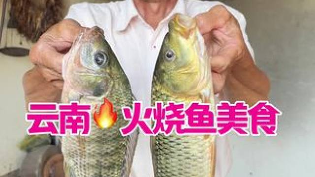 今天去掉了几条鱼，烤着吃 味道非常不错 #野外美食 #钓鱼 #记录生活 #美食#我的乡村生活