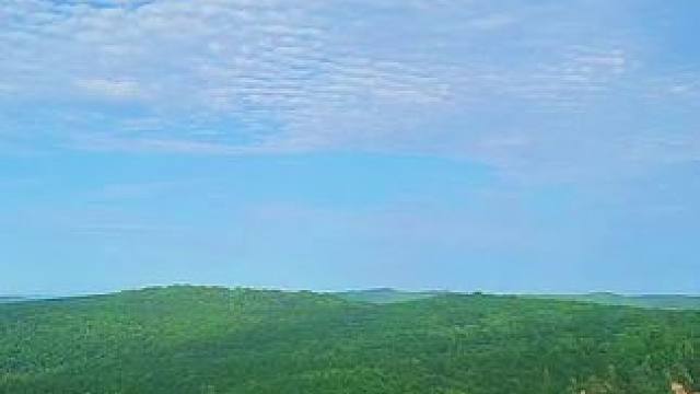 子午林海#登上山顶看美景一起享受大自然的美