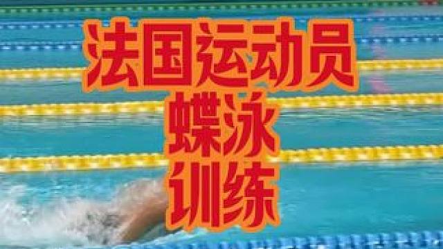 法国运动员蝶泳训练 #游泳训练  #蝶泳  #游泳教学  #游泳不停哥 