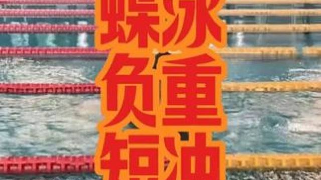 蝶泳负重短冲训练 #游泳训练 #游泳教学 #蝶泳 #游泳不停哥
