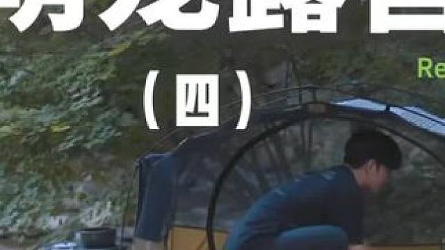 萌宠露营（四）夏天露营就要去有水的地方~#露营 #助眠 #解压 #萌宠 #一起去露营