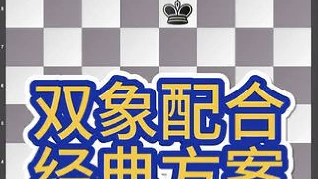 双象杀王是国际象棋残局中的经典必胜局面，指己方拥有双象+王对抗敌方单王时，通过逐步压缩对方王的活动空
