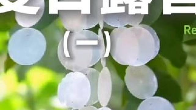 夏日露营（一）#露营 #助眠 #解压 #户外露营 #一起去露营