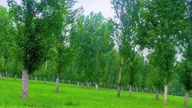 雨天露营 #户外露营 #露营 #雨天露营