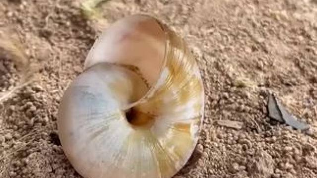 人生如旅，放慢脚步，品味风景