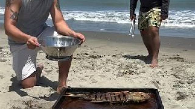 海边野餐 #海滩海滩 #我的乡村生活 #原创视频 #日常生活 #牛羊养殖