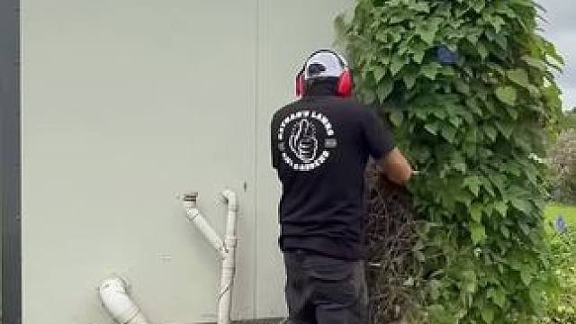 来自澳洲的清洁工作，解压又高薪！#极度舒适 #庭院清洁 #极度解压