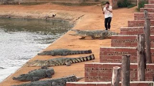 小子胆子越来越肥了#非专业人士请勿模仿