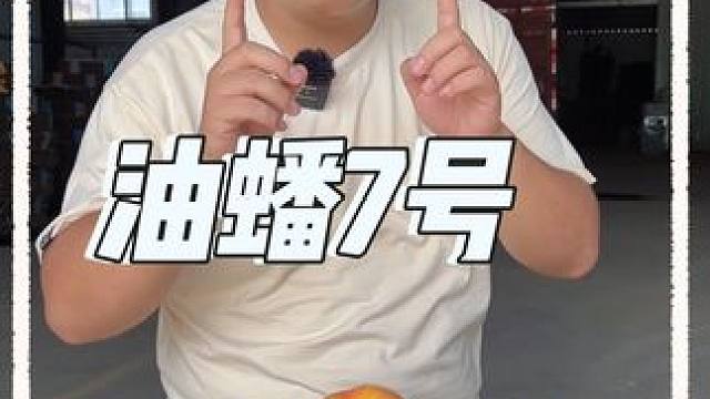 线上果期只有一个星期左右 全方面讲解油蟠桃7号#应季水果 #桃