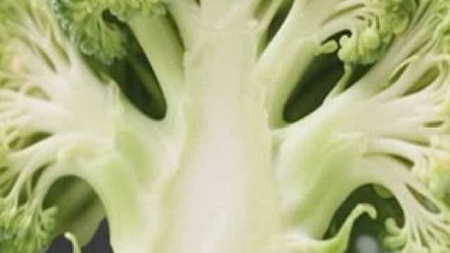 《挑食的春天》#花菜 #球球大作战 #球球大作战小游戏#球球霸屏挑战#球球大作战VR