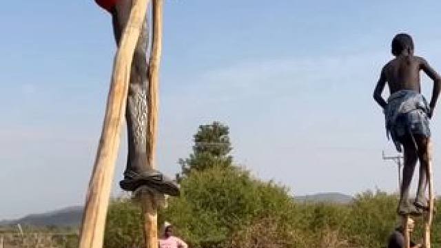 非洲班纳部落 #陌陌 #原始部落 踩在高跷上的部落