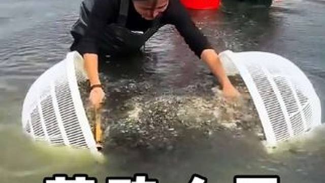 #劳动人民的智慧 #神操作 #生活小妙招 #干活我是认真的 #三农