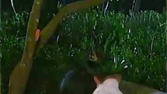 #西瓜视频 点击上方（红色按钮） 可看完整版 大结局太精彩了...《西瓜视频》，观看精彩后续《西瓜视