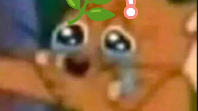 传奇的人生不需要解释