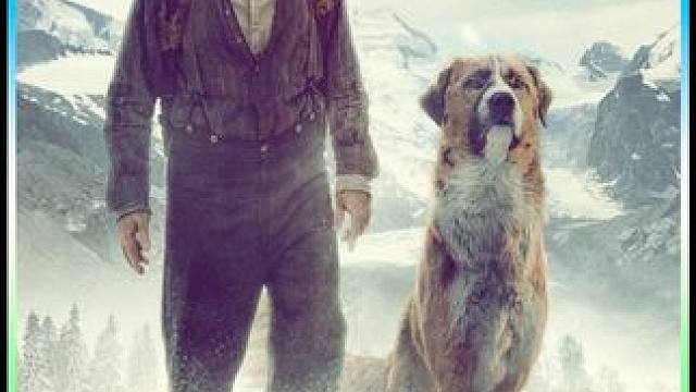 野性的呼唤 #电影 #治愈