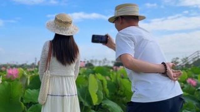 外出游玩试试这样拍，一个镜头拍出唯美创意小短片#手机摄影 #满池荷花 #随手一拍都是美景 #荷花