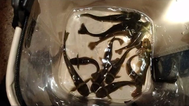 雨后家门口小玩一会