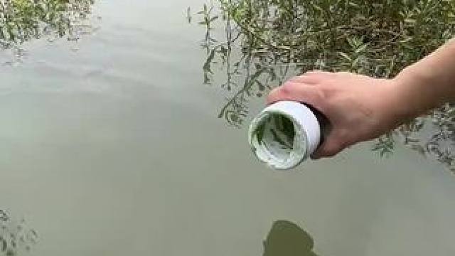 遇水就能扩散#钓鱼 #钓鱼人就是这么疯狂 #钓鱼的乐趣只有钓鱼人懂 #钓鱼技巧 #钓鱼那些事