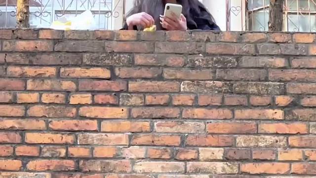 男子汉大豆腐，能屈能伸！