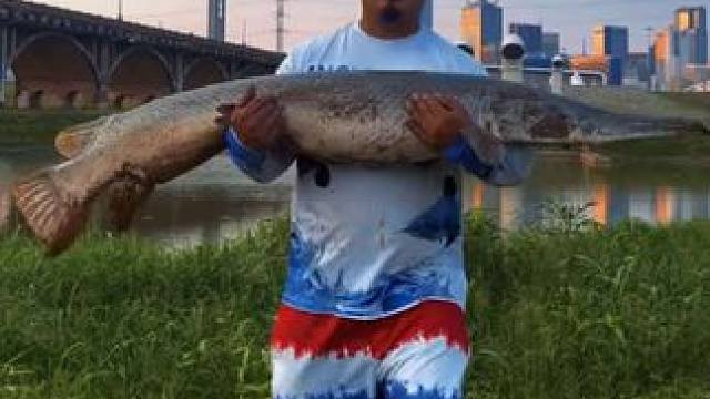 #国外视频分享 #好大一条鱼 #钓鱼