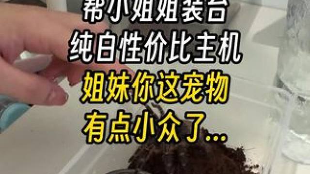 姐妹你这宠物是不是有点小众了... 结尾有配置单#电脑 #装机 #长沙 #diy电脑 #电脑配置