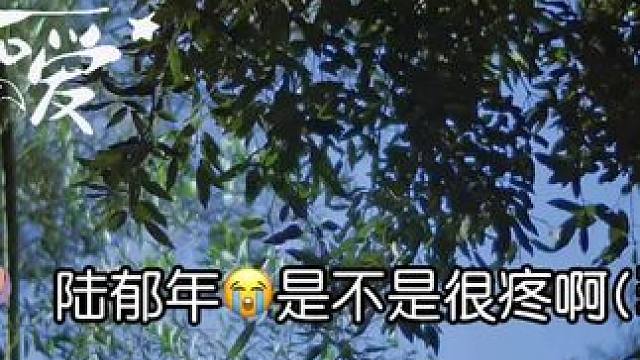#超级可爱 #顾泽鱼陆郁年 #广播剧 蔓播滴顾泽鱼：陆渔年，是不是很疼啊，怎么办？啊呜呜呜呜
