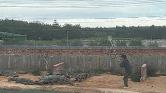 跟上步伐跟上节奏#非专业人士请勿模仿