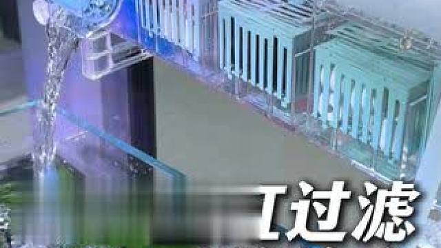 4060小鱼缸过滤可以用这个增氧过滤培菌三合一壁挂式滴流盒！ #滴流盒 #滴流盒过滤 #鱼缸过滤 #