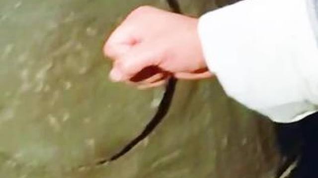 简直太精彩了！#电影推荐 #我的观影报告 #推荐电影