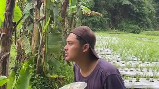 野菜哥 #我的乡村生活 #新࿆鲜࿆采࿆摘 #原创视频 #优质农产品