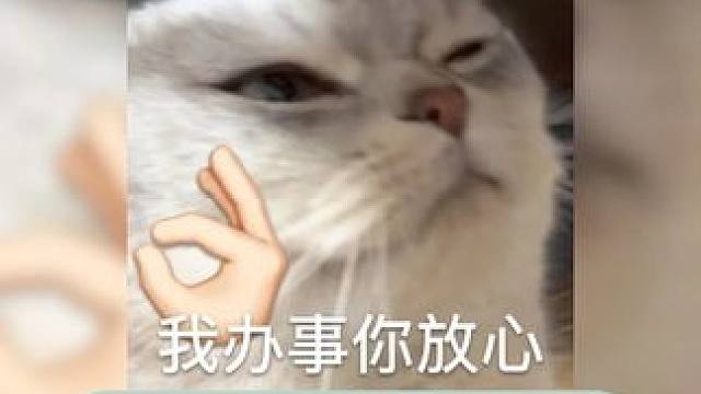 新加坡买车为什么这么贵#买车 #新加坡 #电车